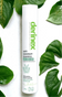 Derinex Anti Dandruff Shampoo – Çay Ağacı Yağı